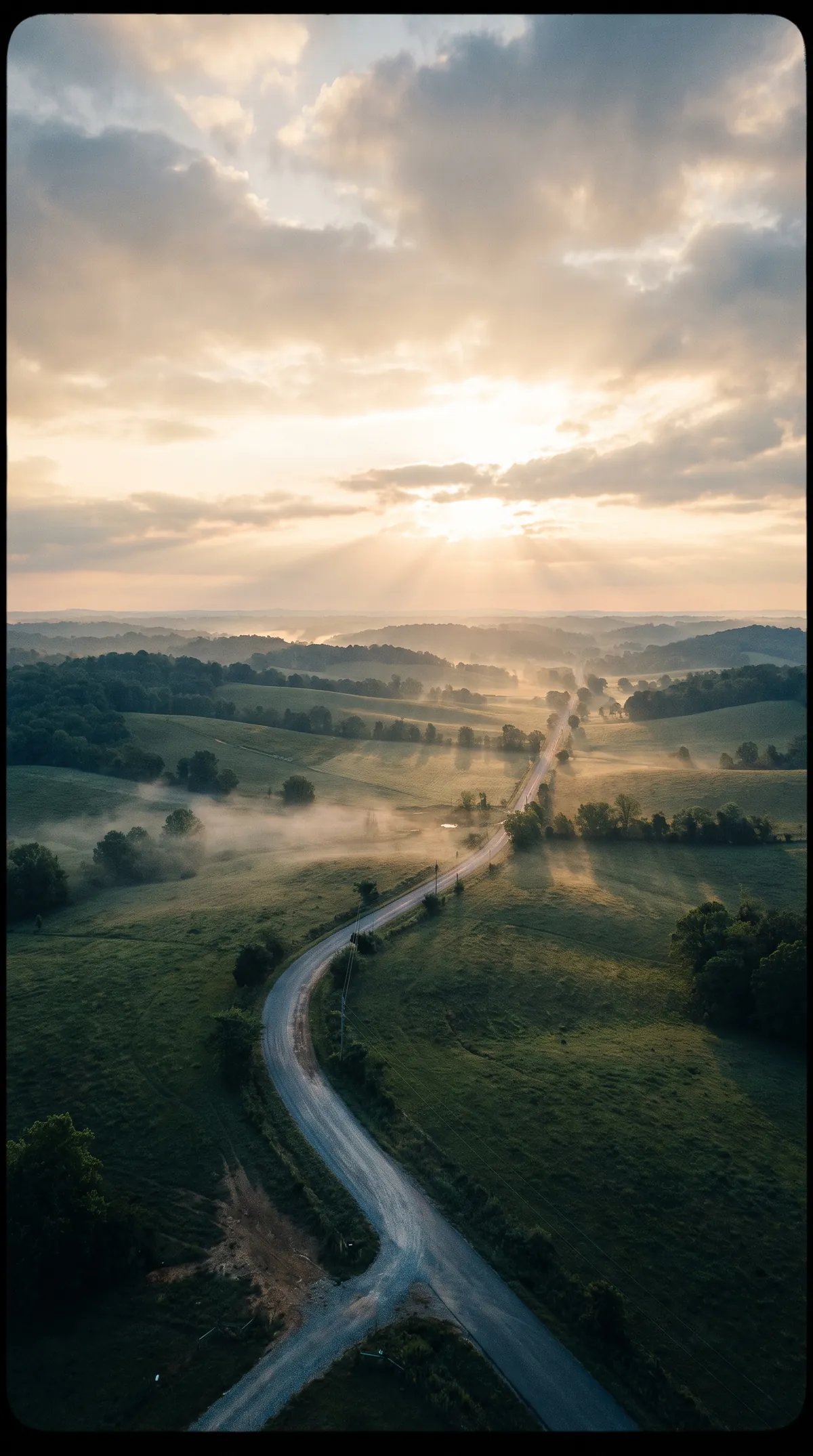 Dawn over the misty hills of Middle Tennessee, a road winding into the distance